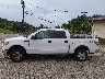 1FTFW1ET9BF****** Repairable 2011 Ford F-150 in Kentucky State
