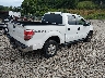 1FTFW1ET9BF****** Salvage and Wrecked 2011 Ford F-150 in Kentucky State