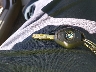 WBANA73555C****** Salvamento 2005 BMW 5 Series en Estado de California