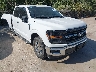 1FTEW3K55RK****** Salvamento y Destrozados 2024 Ford F-150 en Dallas-Fort Worth