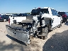1FTEW3K55RK****** Salvamento y Destrozados 2024 Ford F-150 en Estado de Texas