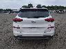 KM8J3CAL2MU****** Destrozados 2021 Hyundai Tucson