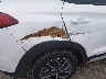 KM8J3CAL2MU****** Salvamento y Reparables 2021 Hyundai Tucson en Estado de Nueva Jersey