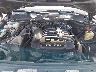 WVGEF9BPXDD****** Repairable 2013 Volkswagen Touareg in Nashville