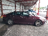5XXGT4L39KG****** Repairable 2019 Kia Optima in New York State