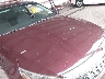 5XXGT4L39KG****** Wrecked 2019 Kia Optima in New York State