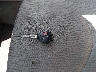 2T3ZF4DV6AW****** Salvamento 2010 Toyota RAV4 en Estado de Carolina del Sur
