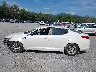 KNAGM4A79B5****** Salvage 2011 Kia Optima