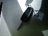 5NMS23AD5LH****** Salvage 2020 Hyundai Santa Fe in Florida State