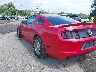 1ZVBP8AM8D5****** Salvage and Repairable 2013 Ford Mustang in Bridgeport