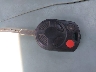 1FADP5AU0DL****** Salvage 2013 Ford C-Max Hybrid in Tennessee State