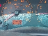 JNKCV51E73M****** Salvage 2003 Infiniti G35 in Greenville
