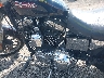 1HD1CGP18YK****** Used 2000 Harley-Davidson Xl1200 in Cleveland