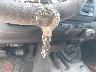 1B7FL26X8YS****** Salvamento 2000 Dodge Dakota en Estado de Ohio
