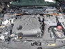 1N4AA6AVXKC****** Repairable 2019 Nissan Maxima in Jacksonville