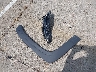 5NPE24AF0FH****** Wrecked 2015 Hyundai Sonata in Indiana State
