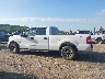 1FTRW14W18K****** Reparables 2008 Ford F-150 en Estado de Ohio