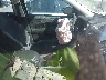1FMCU0F76DU****** Used and Repairable 2013 Ford Escape in North Carolina State