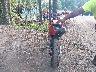 VBKEXJ402SM****** Salvamento y Reparables 2025 KTM 500 en Estado de Virginia