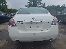 1N4AL21E88C****** Destrozados 2008 Nissan Altima