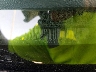 1GTEC14Z9SZ****** Used 1995 GMC Sierra in Houston North