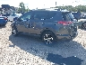 2T3WFREV7JW****** Salvamento y Reparables 2018 Toyota RAV4 en Tampa
