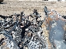1FTEW1E54KK****** Used and Repairable 2019 Ford F-150 in Texas State