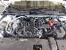 3N1AB8CV6PY****** Reparables 2023 Nissan Sentra en Orlando North