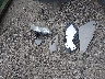5FNRL5H61BB****** Destrozados 2011 Honda Odyssey en Estado de Ohio