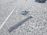 KNDJX3AA1J7****** Wrecked 2018 Kia Soul in Indiana State