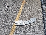 3G1BE6SM7JS****** Destrozados 2018 Chevrolet Cruze en Estado de Iowa