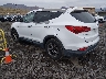 5XYZTDLB2DG****** Salvamento y Reparables 2013 Hyundai Santa Fe en Reno