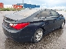 5NPEB4AC5DH****** Salvamento y Reparables 2013 Hyundai Sonata en Estado de Nebraska