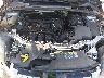1FADP3N22DL****** Reparables 2013 Ford Focus en Fort Myers