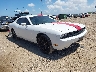 2C3CDYAG4DH****** Salvamento y Destrozados 2013 Dodge Challenger en Corpus Christi