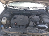 5NPEC4AC5BH****** Reparables 2011 Hyundai Sonata en Tampa