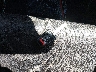 1HGCR2F57DA****** Salvamento 2013 Honda Accord en Estado de Carolina del Norte