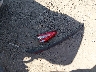 3FA6P0H72HR****** Destrozados 2017 Ford Fusion en Estado de Ohio
