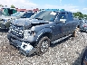 1FTFW1E6XDF****** Usados y Reparables 2013 Ford F-150 en Culpeper