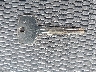 JTEHD20V950****** Salvamento 2005 Toyota RAV4 en Estado de Massachusetts