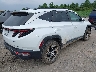5NMJCCAE5NH****** Salvamento y Destrozados 2022 Hyundai Tucson en Estado de Nueva York