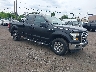 1FTFX1EF8GK****** Salvage and Wrecked 2016 Ford F-150 in Avenel New Jersey