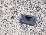 5XYKT3A6XFG****** Wrecked 2015 Kia Sorento in Montana State