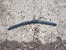 1C6RD7KT2CS****** Wrecked 2012 RAM 1500 in Indiana State