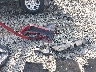 2G1WT58K681****** Wrecked 2008 Chevrolet Impala in Georgia State
