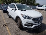 5NMZUDLB2HH****** Salvage and Wrecked 2017 Hyundai Santa Fe in Boise