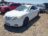 4T1BE46K27U****** Salvamento y Reparables 2007 Toyota Camry en Estado de California