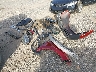 5J6RW2H51JL****** Destrozados 2018 Honda CR-V en Estado de Ohio