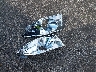 1FAHP25W89G****** Wrecked 2009 Ford Taurus in Maryland State