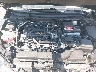5YFT4MCE8MP****** Reparables 2021 Toyota Corolla en Tampa